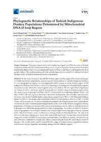 Phylogenetic Relationships of Turkish Indigenous Donkey Populations Determined by Mitochondrial DNA D-Loop Region
