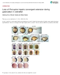 Porcupine Impairs Convergent Extension During Gastrulation in Zebrafish