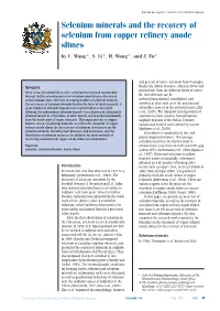Selenium Minerals and the Recovery of Selenium from Copper Refinery Anode Slimes by C