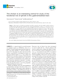 The Chicken Is an Interesting Animal for Study of the Functional Role of Ghrelin in the Gastrointestinal Tract