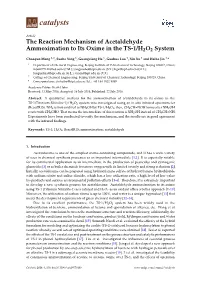 The Reaction Mechanism of Acetaldehyde Ammoximation to Its Oxime in the TS-1/H2O2 System
