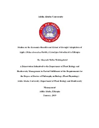 Addis Ababa University