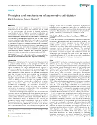 Principles and Mechanisms of Asymmetric Cell Division Bharath Sunchu and Clemens Cabernard*