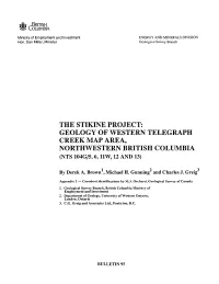 Stratigraphy of the Project Area