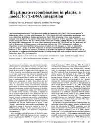 A Model for T-DNA Integration