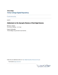 Addendum to the Synoptic Review of Red Algal Genera