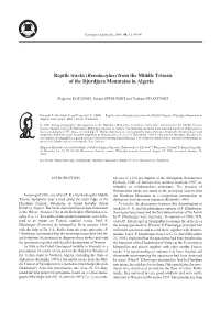 C:\GQ 48 (1)\Internet\GQ48(1).Vp