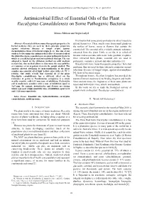 Antimicrobial Effect of Essential Oils of the Plant Eucalyptus Camaldulensis on Some Pathogenic Bacteria