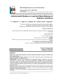 Antimicrobial Studies on Leaf and Stem Extracts of Solanum Erianthum