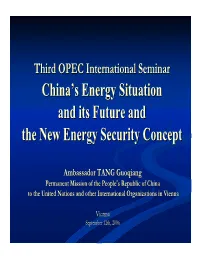 China's Energy Situation and Its Future and the New Energy Security Concept