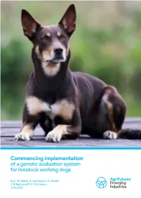 Commencing Implementation of a Genetic Evaluation System for Livestock Working Dogs by C
