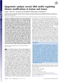 Epigenomic Analysis Reveals DNA Motifs Regulating Histone Modifications in Human and Mouse