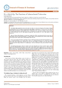 It's a Stitch-Up: the Function of Subarachnoid Trabeculae