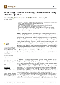 Polish Energy Transition 2040: Energy Mix Optimization Using Grey Wolf Optimizer