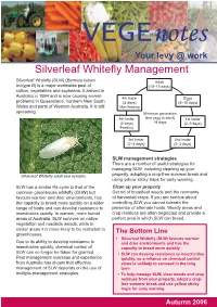 Silverleaf Whitefly Management
