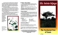 The Territorial Tree USDA Forest Service and the U.S