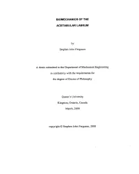 Blomechanlcs of the ACETABULAR LABRUM By