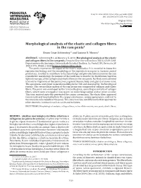 Morphological Analysis of the Elastic and Collagen Ibers in the Ram Penis1