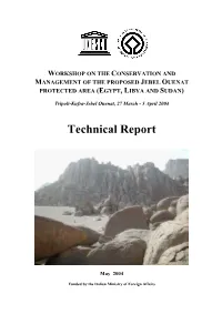 Technical Report