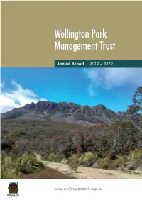Annual Report 2019-20