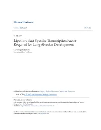 Lipofibroblast Specific Transcription Factor Required for Lung Alveolar Development