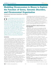 Modeling Chromosomes in Mouse to Explore the Function of Genes