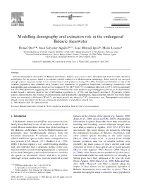 Modelling Demography and Extinction Risk in the Endangered Balearic Shearwater