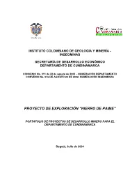 Proyecto De Exploración “Hierro De Paime”