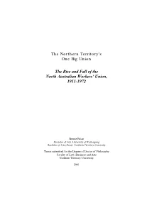 The Northern Territory's One Big Union