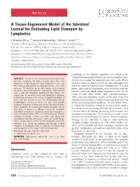 A Tissue-Engineered Model of the Intestinal Lacteal for Evaluating Lipid Transport by Lymphatics