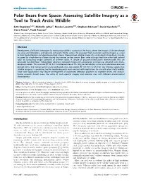 Polar Bears from Space: Assessing Satellite Imagery As a Tool to Track Arctic Wildlife