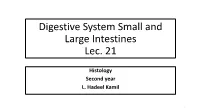 Digestive System Small and Large Intestines Lec. 21