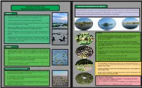 Glimpse of Loktak Lake Understanding Nature Fabrication
