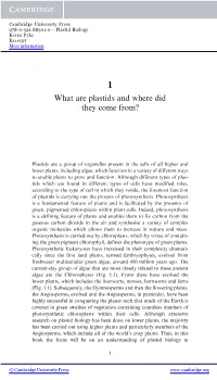 What Are Plastids and Where Did They Come From?