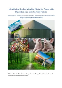 Identifying the Sustainable Niche for Anaerobic Digestion in a Low Carbon Future