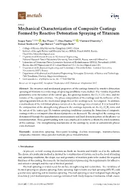 Mechanical Characterization of Composite Coatings Formed by Reactive Detonation Spraying of Titanium