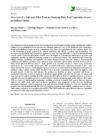 Overview of a Lab-Scale Pilot Plant for Studying Baby Leaf Vegetables Grown in Soilless Culture