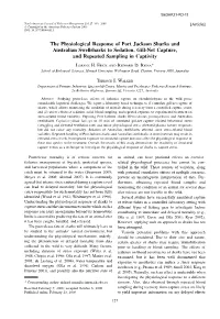 The Physiological Response of Port Jackson Sharks and Australian Swellsharks to Sedation, Gill-Net Capture, and Repeated Sampling in Captivity