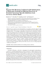 Enzyme-Site Blocking Combined with Optimization of Molecular Docking for Efficient Discovery of Potential Tyrosinase Specific In