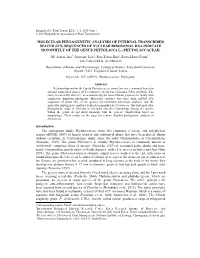 Molecular Phylogenetic Analyses of Internal Transcribed Spacer (Its) Sequences of Nuclear Ribosomal Dna Indicate Monophyly of the Genus Phytolacca L