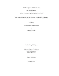 Open Myers THESIS.Pdf