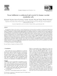 Tissue Kallikrein Is Synthesized and Secreted by Human Vascular Endothelial Cells