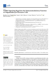 TNFR2 Signaling Regulates the Immunomodulatory Function of Oligodendrocyte Precursor Cells