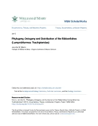 Phylogeny, Ontogeny and Distribution of the Ribbonfishes (Lampridiformes: Trachipteridae)