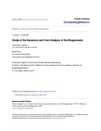 Study of the Dynamics and Cost Analysis of the Biogenerator