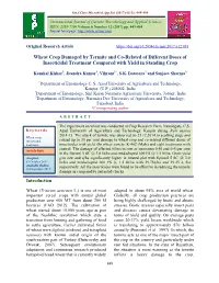 Wheat Crop Damaged by Termite and Co-Related of Different Doses of Insecticidal Treatment Compared with Yield in Standing Crop