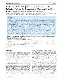 Evolution of the TGF-B Signaling Pathway and Its Potential Role in the Ctenophore, Mnemiopsis Leidyi