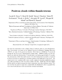 Positron Clouds Within Thunderstorms