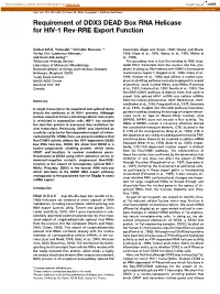 Requirement of DDX3 DEAD Box RNA Helicase for HIV-1 Rev-RRE Export Function