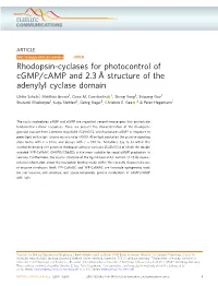 Rhodopsin-Cyclases for Photocontrol of Cgmp/Camp and 2.3 Å Structure of the Adenylyl Cyclase Domain